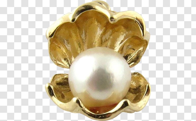 Giant Clam Pearl Seashell Jewellery - PEARL SHELL Transparent PNG