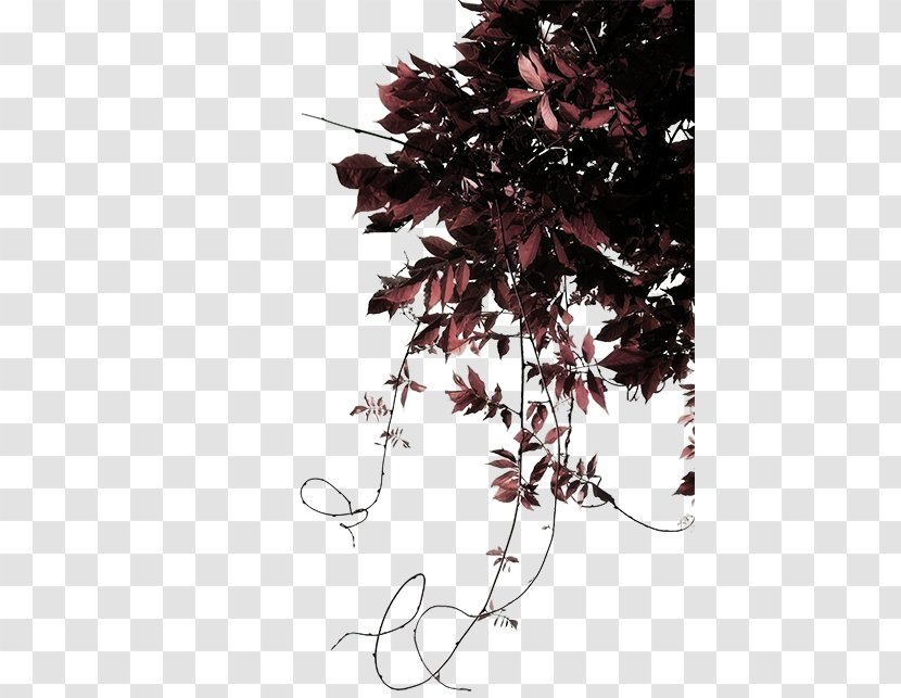 Leaf Sculpture Ornamental Plant Clip Art - Treelet Transparent PNG
