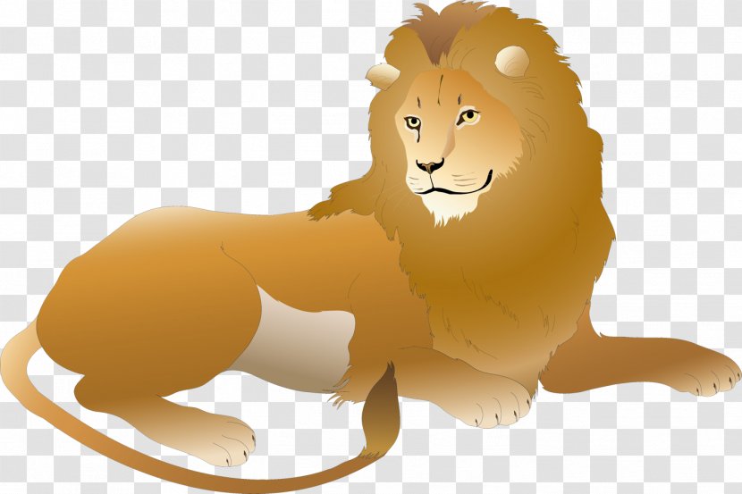 Lion Drawing Simba - 81 Transparent PNG