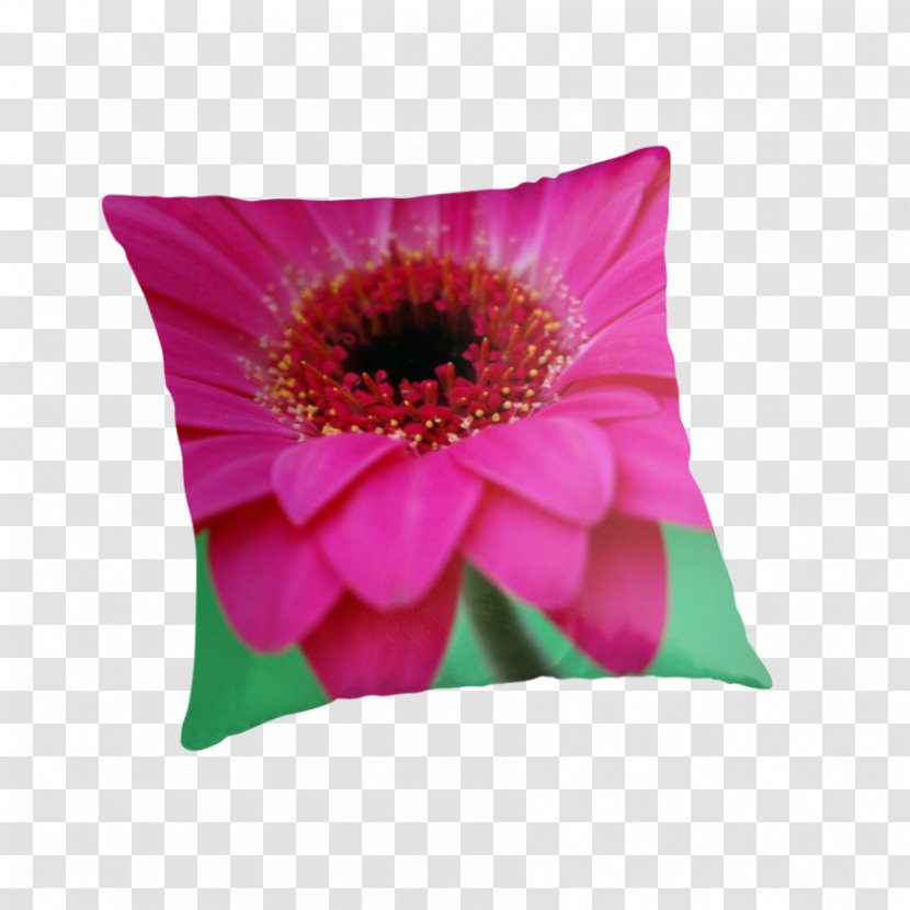 Throw Pillows Cushion Flowering Plant Petal - Red Petals Transparent PNG