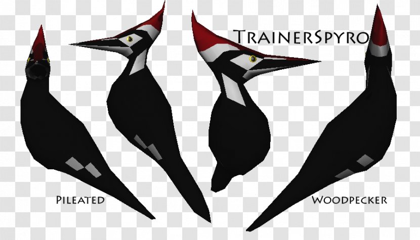 Beak - Bird - Woodpecker Transparent PNG