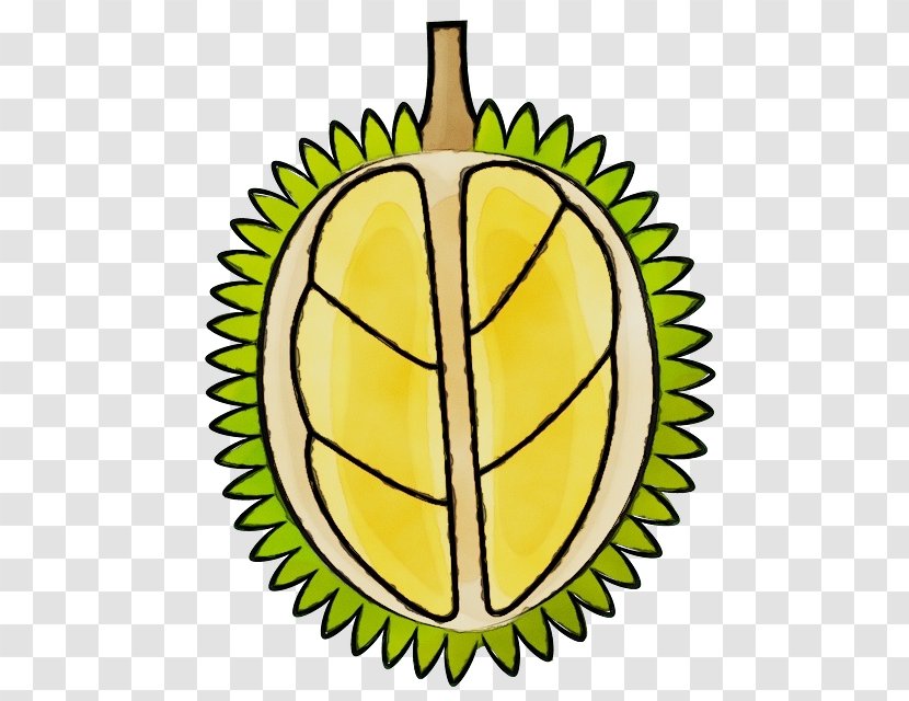 Durian Yellow Fruit Leaf Plant Transparent PNG