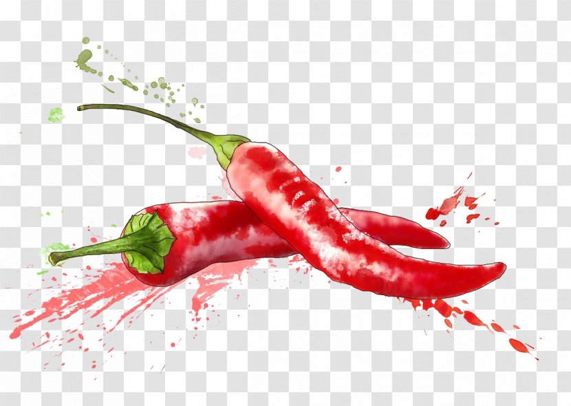 Chile De Xe1rbol Birds Eye Chili Cayenne Pepper Tabasco - Watercolor Painting - Painted Background Peppers Transparent PNG