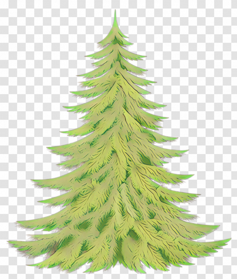 Shortleaf Black Spruce Balsam Fir Yellow Fir Columbian Spruce Oregon Pine Transparent PNG