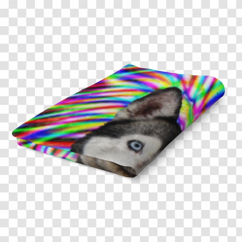 Rectangle - Dog Like Mammal Transparent PNG