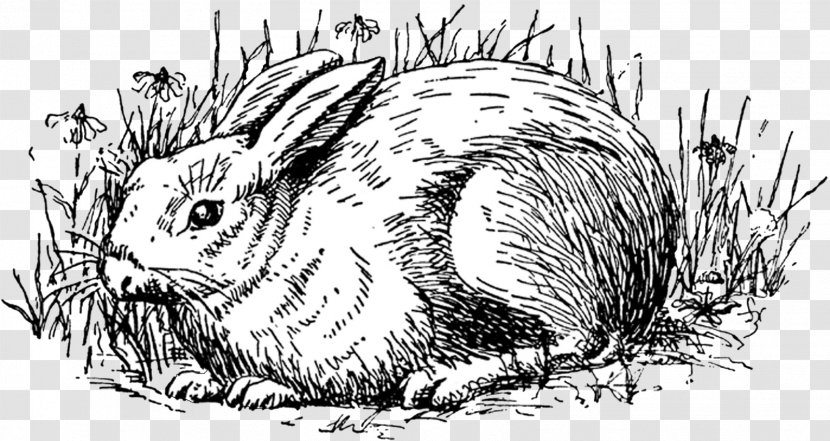Easter Bunny Hare Rabbit Clip Art - Watercolor Transparent PNG