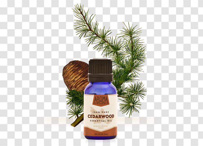 Sore Throat Essential Oil Therapy Muscle Pain - Pine Transparent PNG