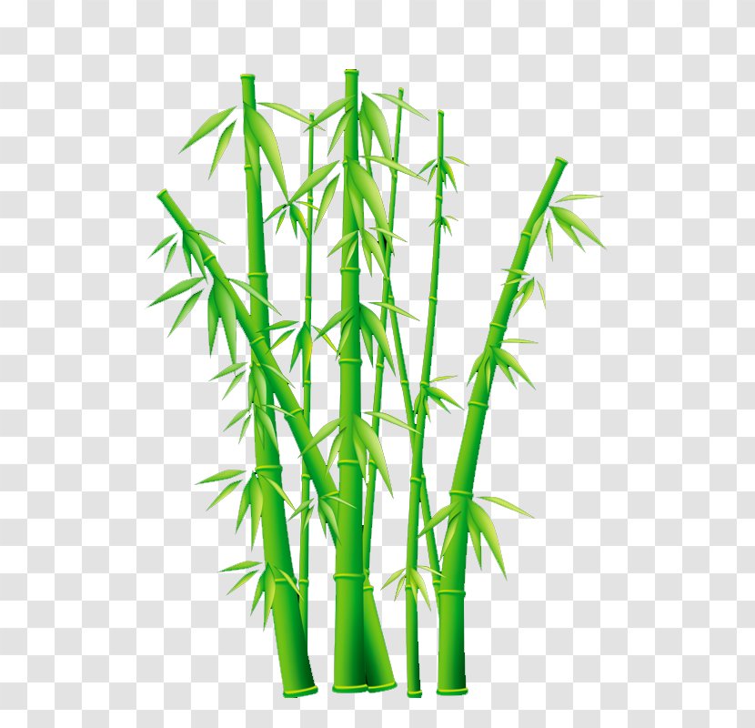 Clip Art Vector Graphics Bamboo Image - Hemp - Plant Transparent PNG