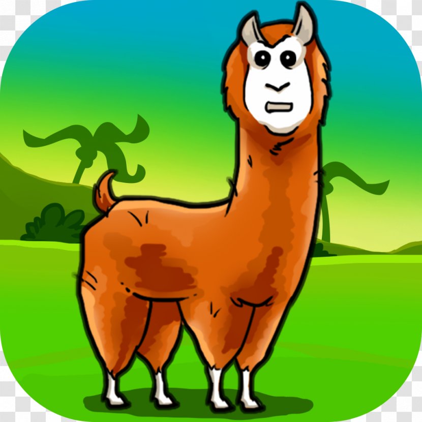Alpaca Evolution Begins Llama Unicorn Party Cat - Lionbird Ltd - Closeup Transparent PNG