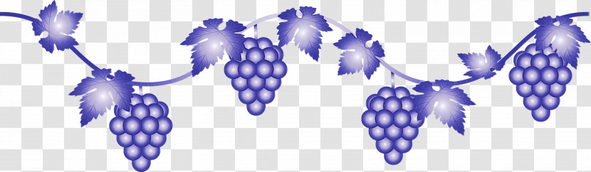 Grape Grapevine Family Purple Plant Fruit Transparent PNG