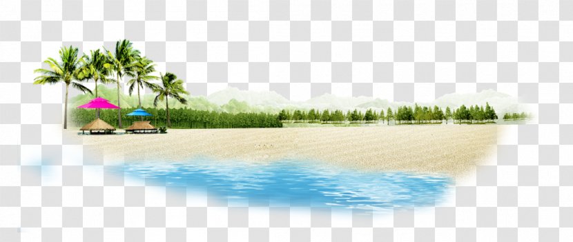 Beach Chemical Element - Rectangle Transparent PNG