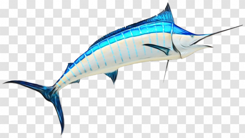 Swordfish Marlin Yellowfin Tuna Albacore Bigeye Tuna Transparent PNG