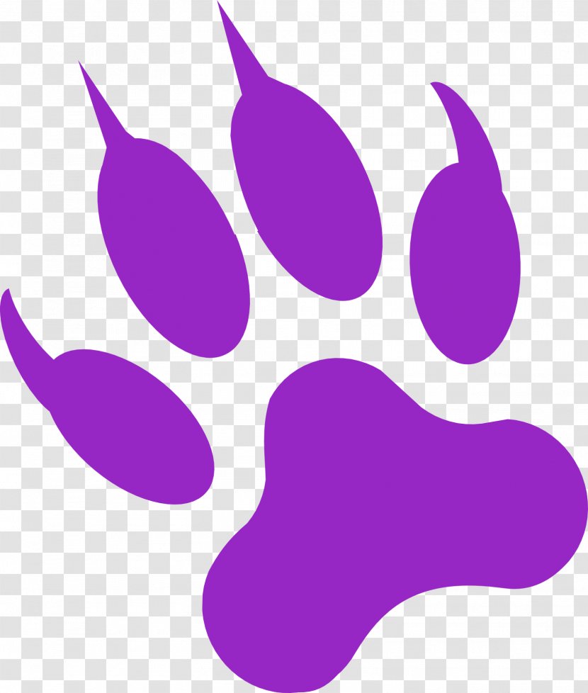 Gray Wolf Black Panther Cougar Panthera Paw - Stockxchng - Dream Purple Catlike Transparent PNG