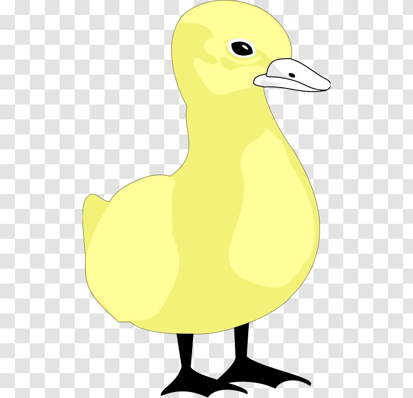 Duck Clip Art Illustration Cartoon Bird - Spot Vector Transparent PNG