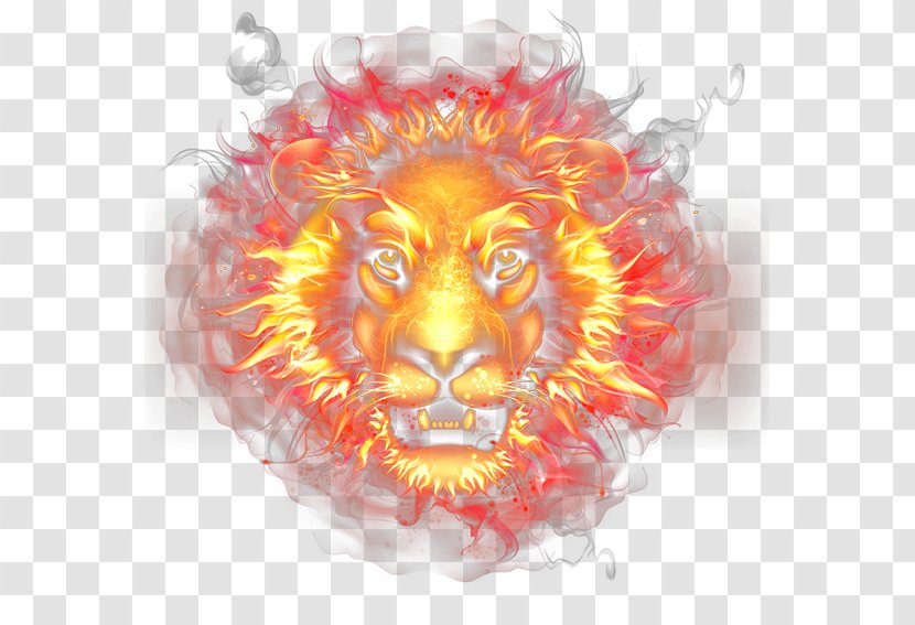 Light Flame Combustion - Fire - Lion Transparent PNG