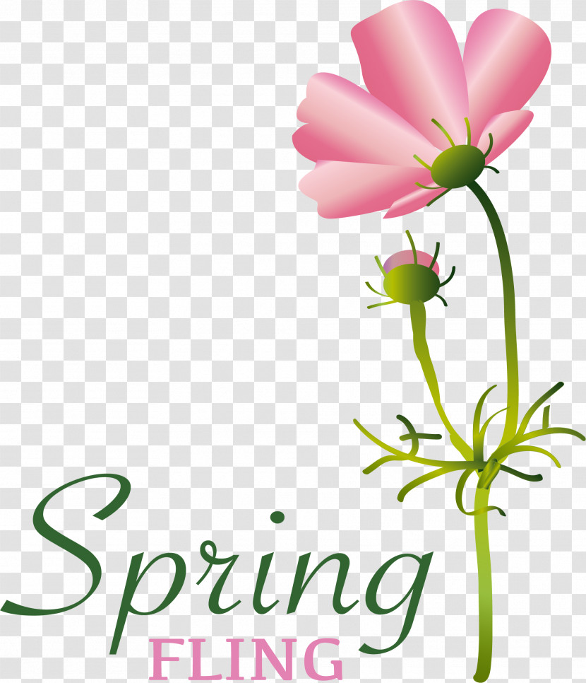 Floral Design Transparent PNG