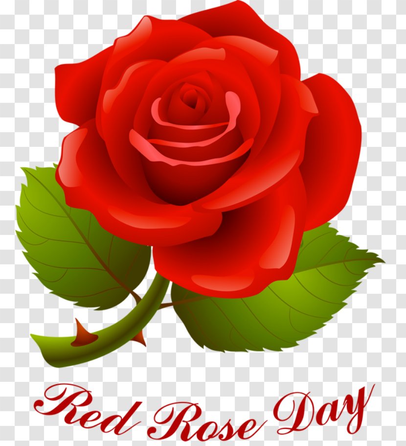 Rose Valentine's Day Red Clip Art - Valentine S - National Scatters Flowers Transparent PNG