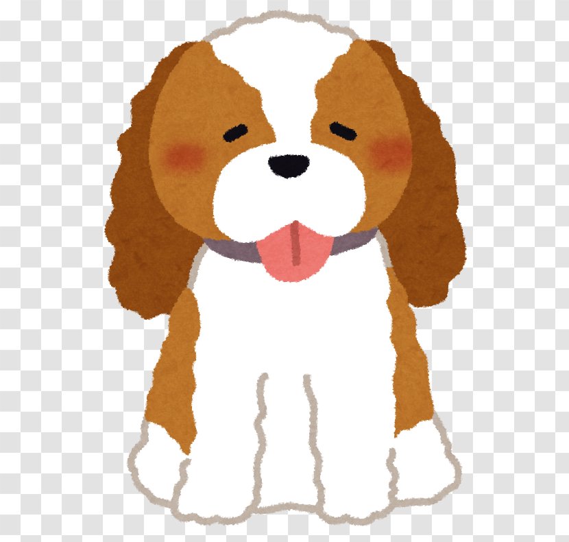 Cavalier King Charles Spaniel Puppy Dog Breed - Nose Transparent PNG