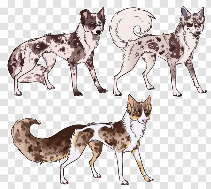 Dog Breed Cat /m/02csf Drawing - Like Mammal Transparent PNG