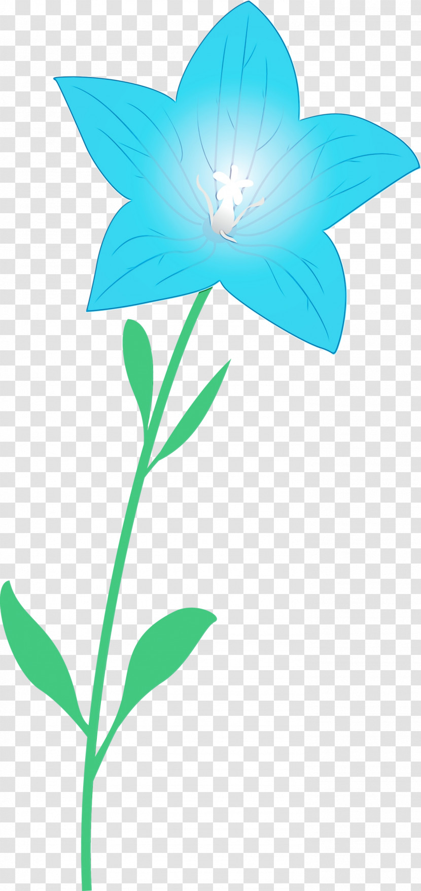 Plant Stem Flower Leaf Petal Flora Transparent PNG