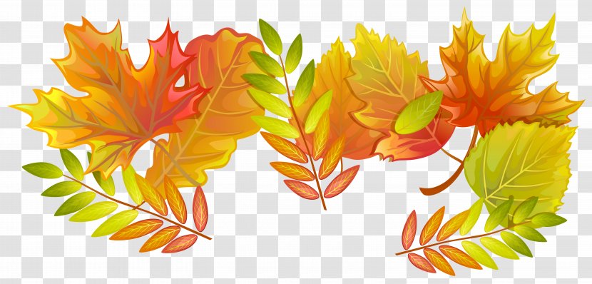 Autumn Leaf - Fall Leaves Decorative Clipart Image Transparent PNG