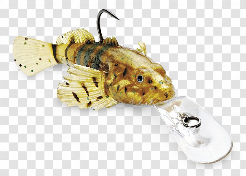Fishing Baits & Lures Rig Tackle - Storm Transparent PNG