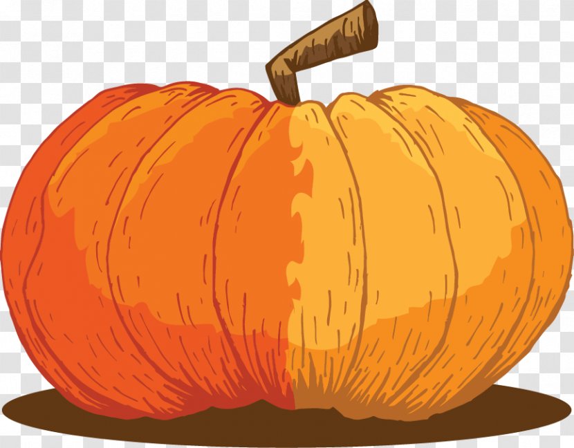 Jack-o'-lantern Gourd Pumpkin Winter Squash Calabaza - Still Life Transparent PNG