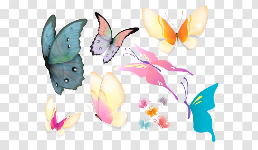 Butterfly Clip Art Illustration Image - Insect Transparent PNG