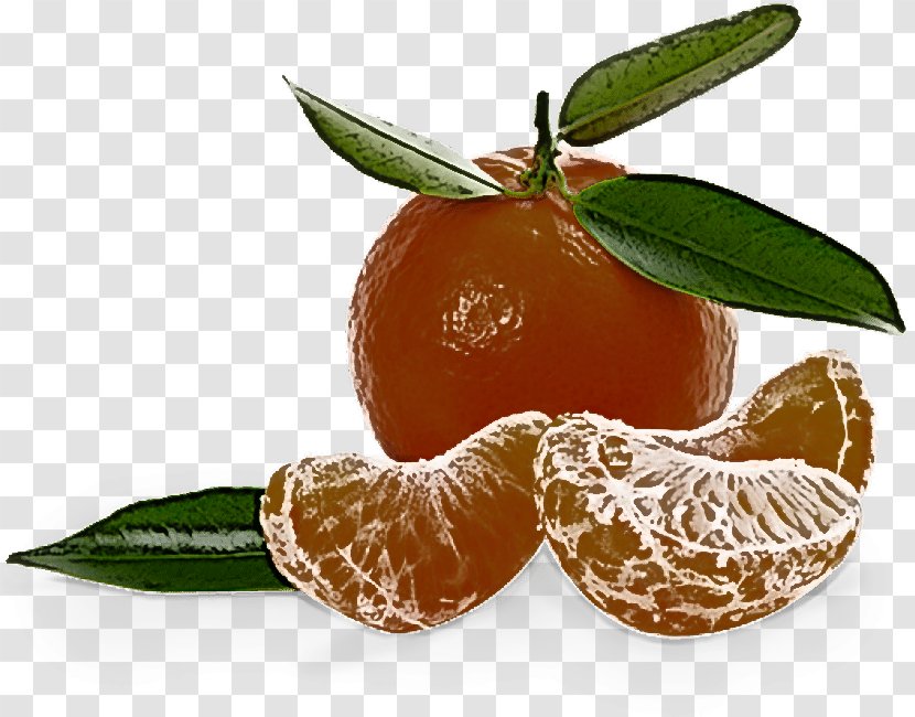 Clementine Mandarin Orange Food Tangerine Fruit - Tangelo Leaf Transparent PNG