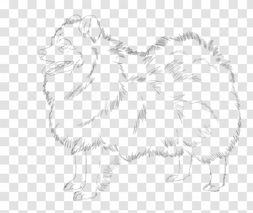 Dog Breed German Spitz Japanese Line Art Sketch - Snout - Painting Transparent PNG