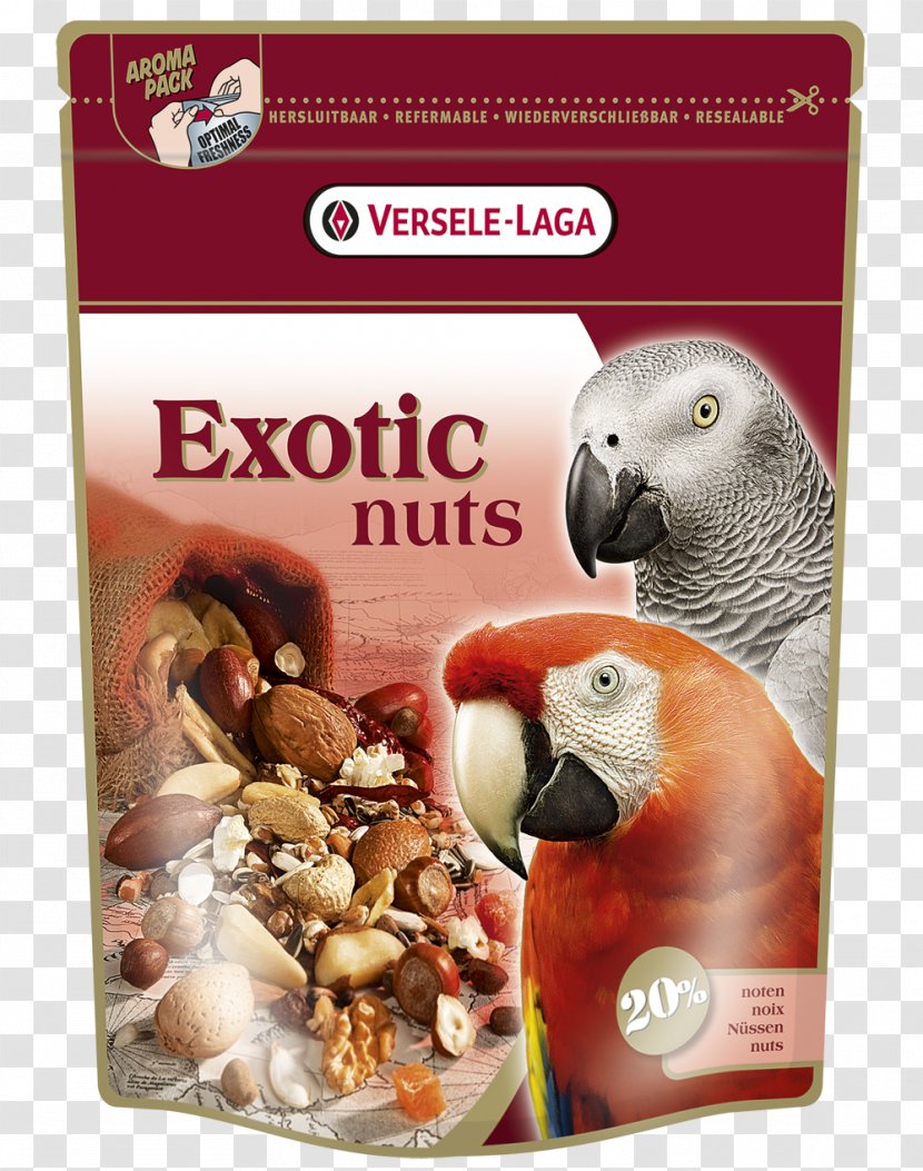 Parrot Loro Parque Bird Food - Fruit Transparent PNG