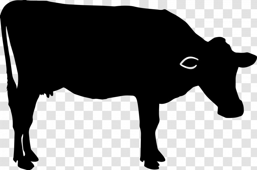 Bovine Snout Livestock Silhouette Dairy Cow Transparent PNG