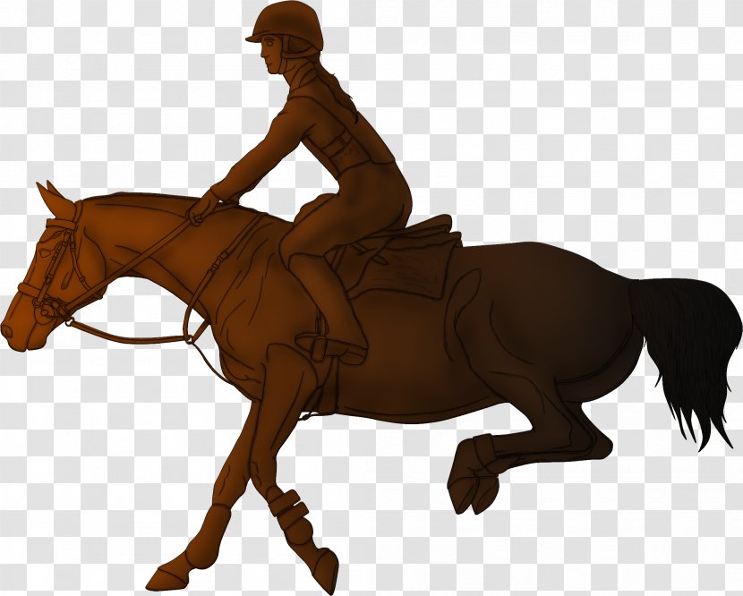 Hunt Seat Horse Mane Rein Stallion - Trainer Transparent PNG