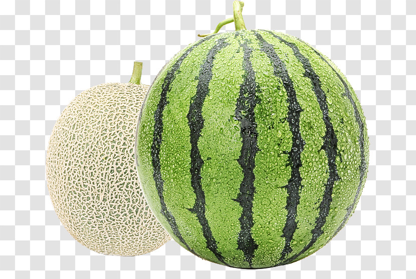 Watermelon Transparent PNG