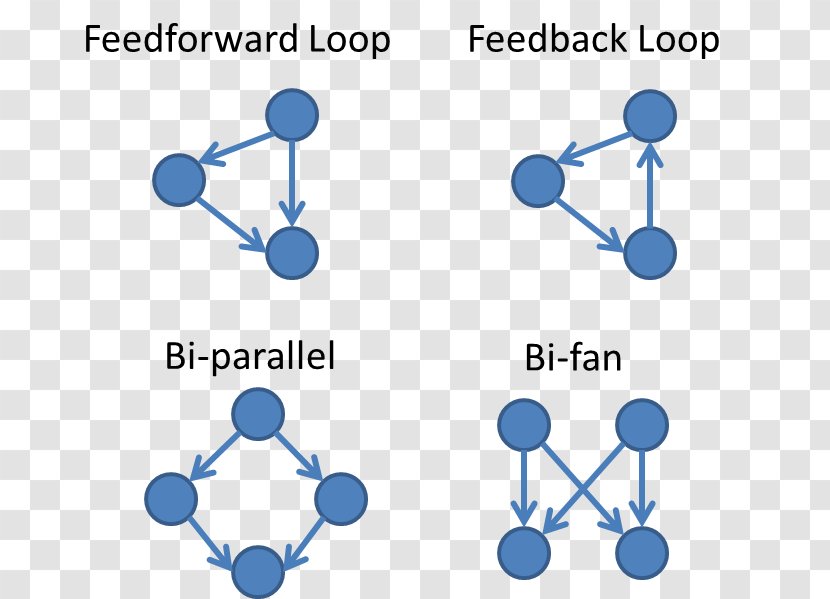 Feed Forward Control System Feedback Network Motif Theory - Communication - Motifs Transparent PNG