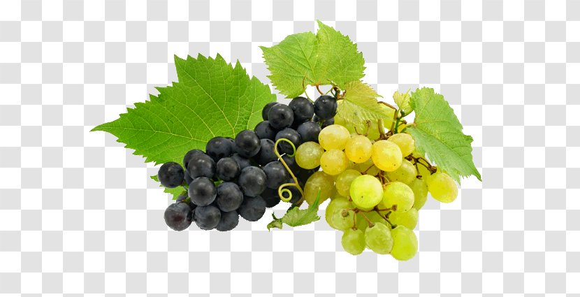 Common Grape Vine Wine Rosé Can Stock Photo Transparent PNG