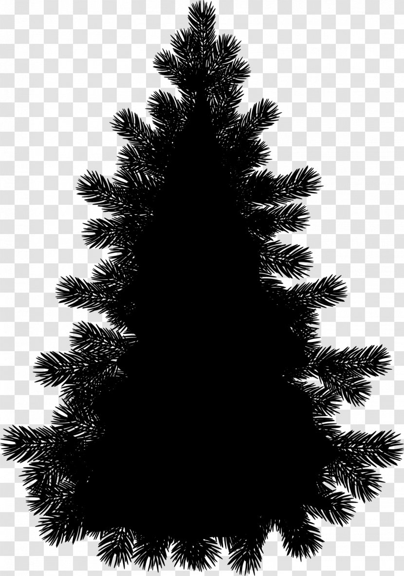 Clip Art Silhouette Pine Drawing Free Content - Shortleaf Black Spruce - Juniper Transparent PNG