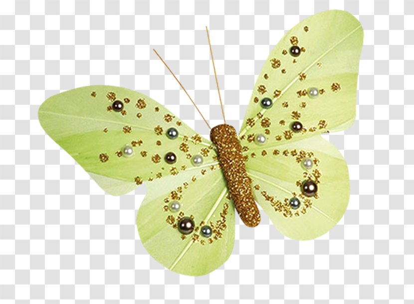 Table Butterflies And Moths Marriage Scrapbooking Party - Insect - Butterfly With Pearls Transparent PNG