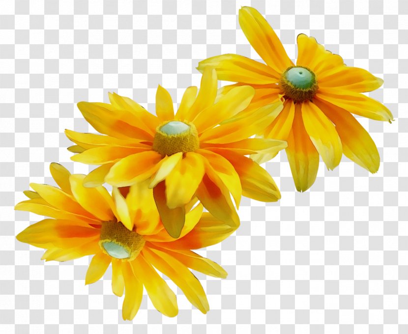 Clip Art Flower Chrysanthemum Music - Perennial Plant - Blume Transparent PNG