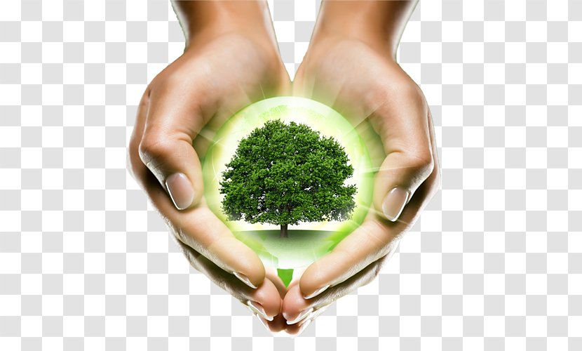 Plant Natural Environment Clip Art - Holding Green Earth Transparent PNG