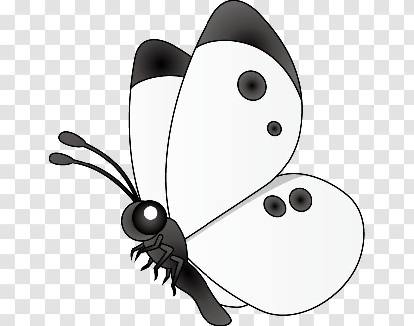 Butterfly Pieris Rapae Insect Black And White Clip Art Transparent PNG