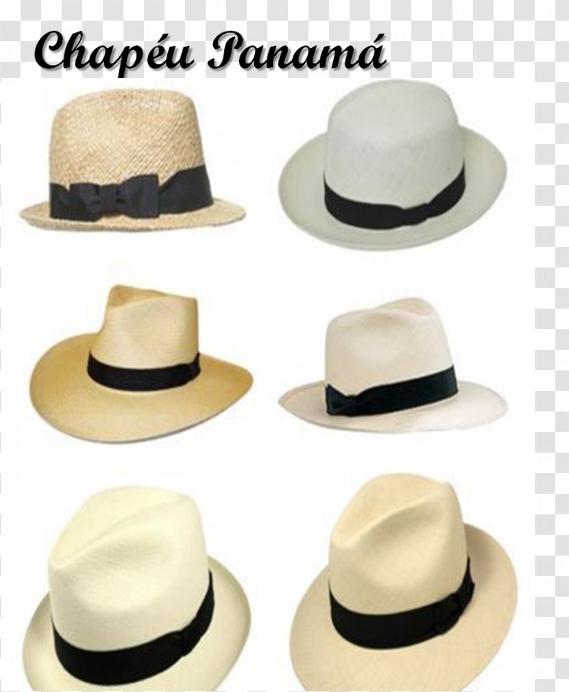Fedora Panama Hat Fashion Sun - 2017 Transparent PNG