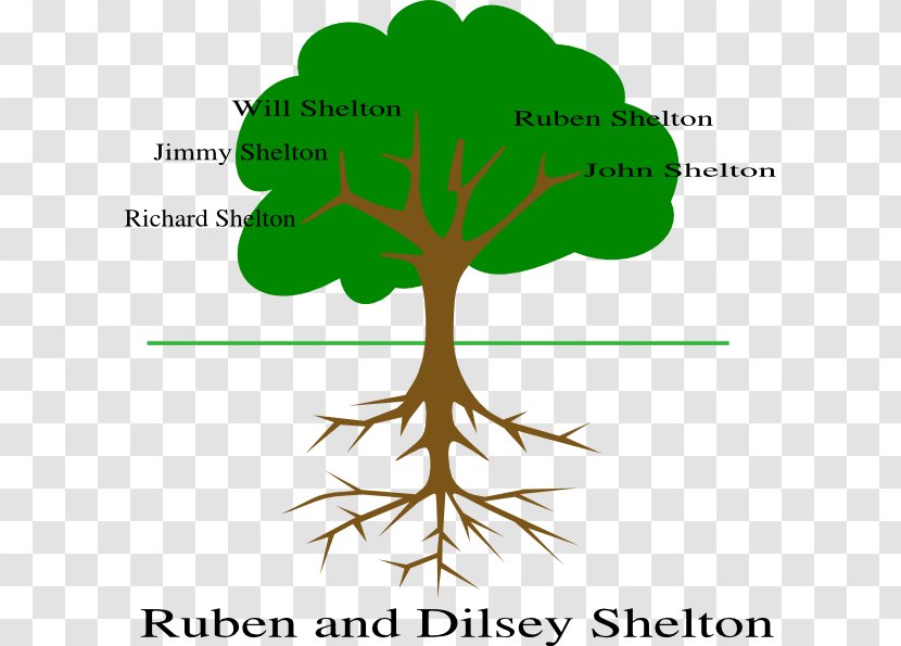 Tree Of Life Root United Methodist Church-Hartford Fruit - Churchhartford Transparent PNG