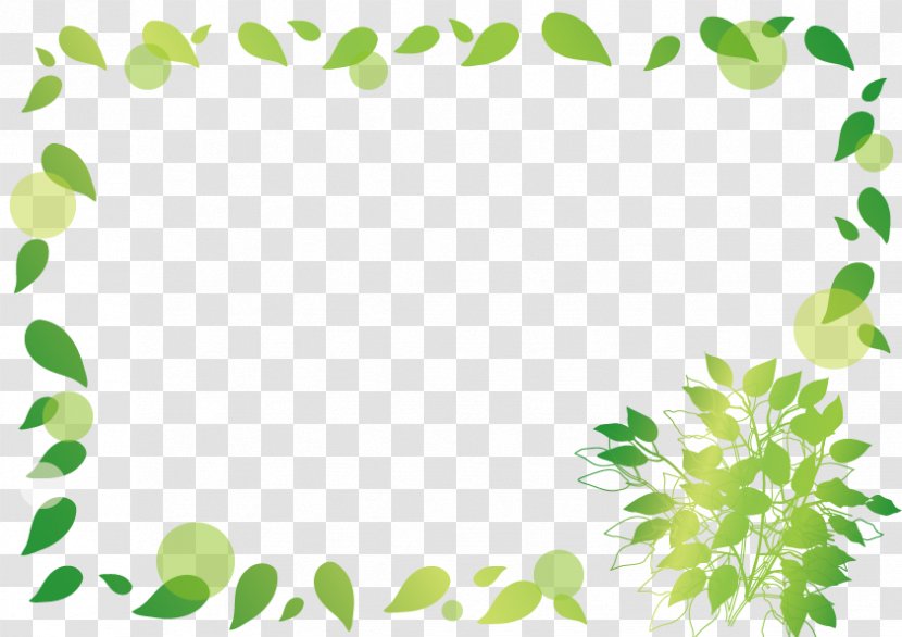 Green Spring Leaf Frame. - Flower - Border Transparent PNG