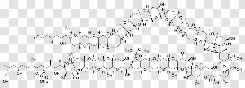 Maitotoxin Organic Chemistry Molecule Chemical Compound - Text Transparent PNG