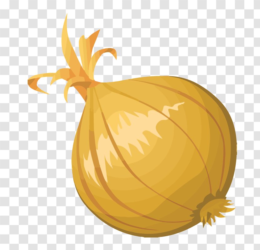 Clip Art Blooming Onion Openclipart Afghan Cuisine - Gourd Order Transparent PNG