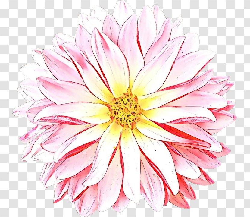 Flowers Background - Asterales - Artificial Flower Annual Plant Transparent PNG