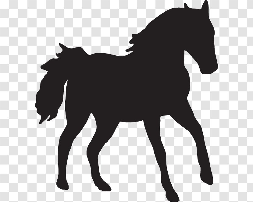Arabian Horse Stallion Mare Clydesdale - Cowboy And Silhouette Transparent PNG