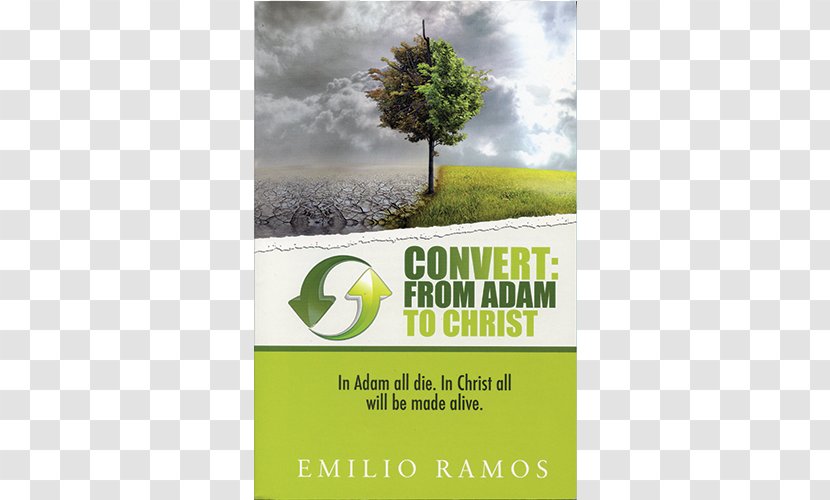 Convert: From Adam To Christ: In All Will Die, Christ Be Made Alive Genesis Creation Narrative Revelation - Active Obedience Of Transparent PNG