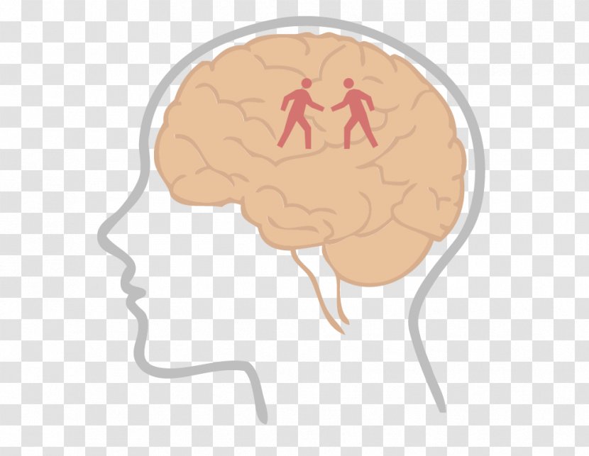 Brain Insight Neurochemistry Learning Thumb - Cartoon - Physical Activity Transparent PNG